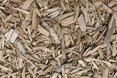 biomass boilers Coynach